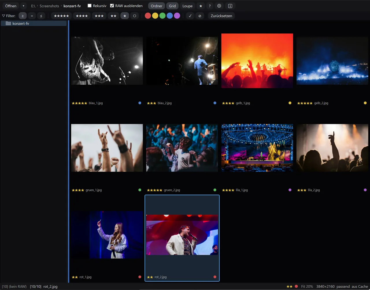 FlashView-Grid mit zehn Konzertfotos, jedes mit einem farbigen Punkt markiert — rot für Sänger, blau für Band, grün für Publikum, gelb für Licht, lila für Sonderbilder.