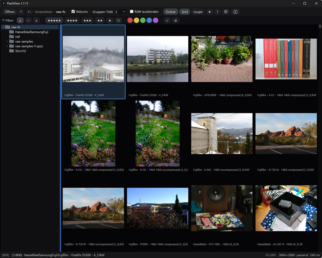 FlashView-Grid mit RAW-Dateien (RAF, NEF) aus mehreren Unterordnern, rekursiv geöffnet, Thumbnails sofort geladen.