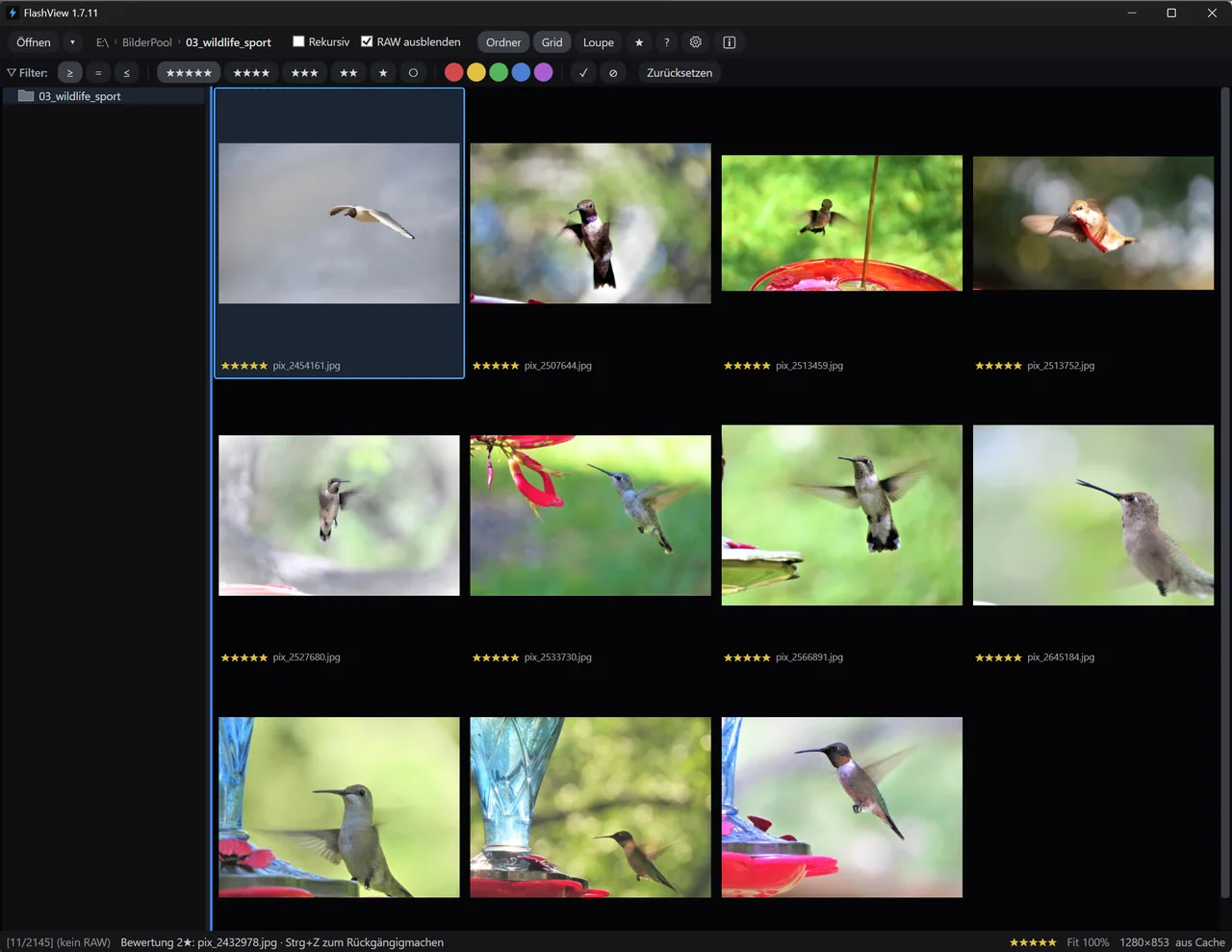 FlashView-Grid mit vielen fast identischen Anflug-Aufnahmen desselben Vogels aus einem Burst, alle bewertet.
